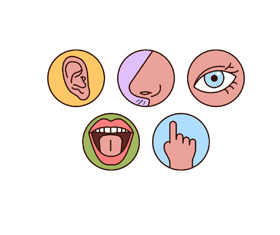 Symbole, die die Sinne widerspeigeln